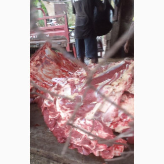 Fresh Cow Meat for Sale - DM for Details