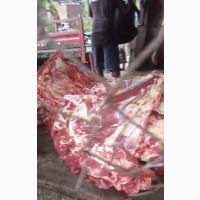 Fresh Cow Meat for Sale - DM for Details