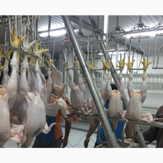 China Factory Slaughtering Machine Lines Slaughter Equipment