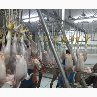 China Factory Slaughtering Machine Lines Slaughter Equipment