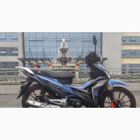 New Twinco Dynasty 2023 Blue