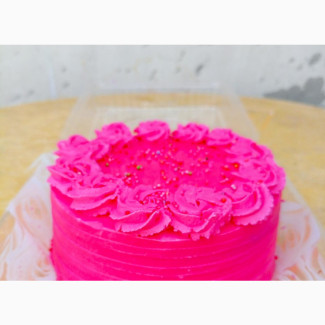 Delicious Bento Cake - High in Protein