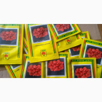 Super Habanero Seeds