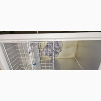 Higher Thermocool Deep Freezer - 319ltrs