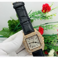 Radiant Wristwatch: Timeless Elegance
