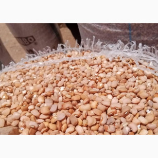 Very Sweet Unpeeled Brown Beans - Grade 1 Paint of Oloyin Beans