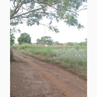 About 400 Acres of Farmland Available in Ogbomoso