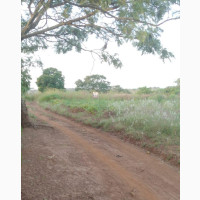 About 400 Acres of Farmland Available in Ogbomoso