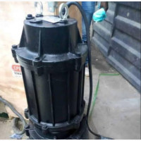Perfect and Standard Sewage Pump