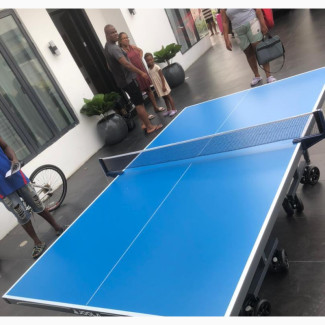 Standard Tennis Table