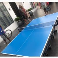 Standard Tennis Table