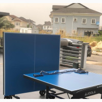 Standard Tennis Table