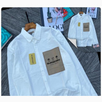 Best Suitable Parking Shirt Suitable for Men