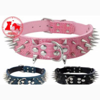 Spike Dog Collars - Brand New