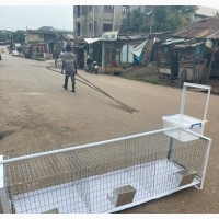 Chicken and Rabbit Battery Cage