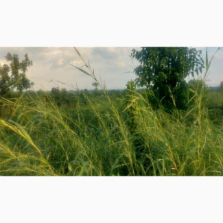 Genuine Vast Land for Sale at Iguozevbaru Community, B/C