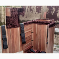 Physiotherapy Standing Education Box
