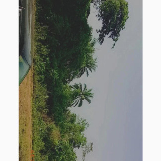 Acres of Land at Akinyele. Whatsapp