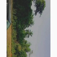 Acres of Land at Akinyele. Whatsapp