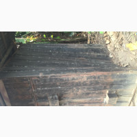 Container Shop for Sale