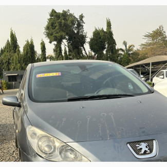 Peugeot 307 SW 2.0 2002 Gray