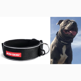Ezydog BLACK XL Neo Classic Collar Strong Reflective XLARGE