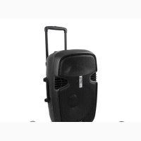 Portable Public Address System, 4500W, 8 CH Mixer