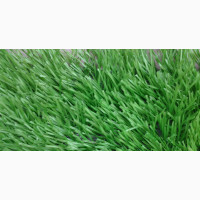 For Renting Of Quality Residential Artificial Grass