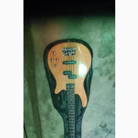 Rich Power Bass Guitar 5 Strings