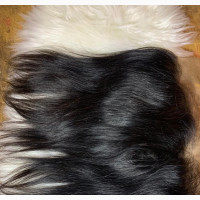 360 Frontal