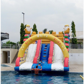 Pool Slide for Parties