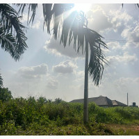 Oasis Gardens, Iyowa, Edo State - Land for Sale