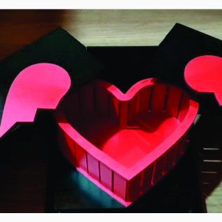 Heart Shaped Roses and Chocolate Gift Box