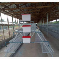 Foreign Battery Cage