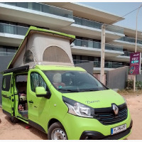 Renault Trafic 2018 Green