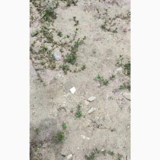 4000sqm Plot