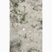 4000sqm Plot