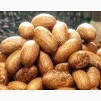 Bitter Kola Available in Bulk: 400 Tons in Stock
