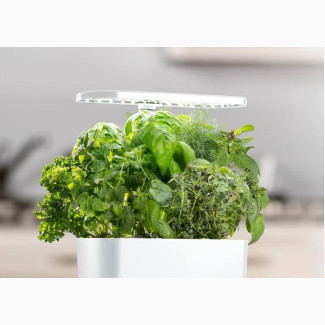 Aerogarden Harvest, White With Gourmet Herbs Seed Kit