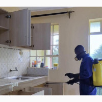Supreme Kleen Fumigation Services in Ajah