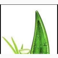 Disaar Moisturizing Gel