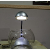 Portable Aquarium Bowl