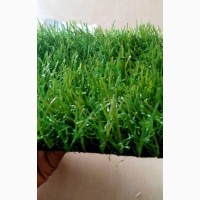 Artificial Grasses of Superior Quality for Sale and Installation