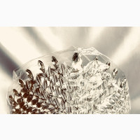 Bridal Crown Taira