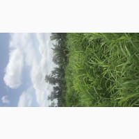 A Plot Forsale at Awosun Ibadan Road