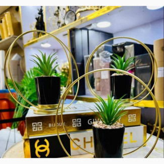 Home Interiors - Beautiful Plants Flowers