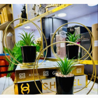 Home Interiors - Beautiful Plants Flowers
