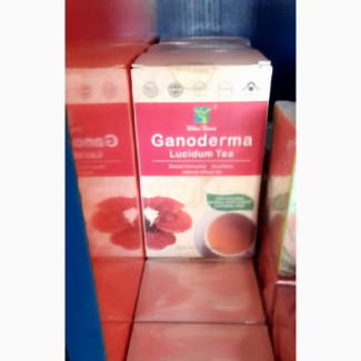 Ganoderma Lucidum Tea