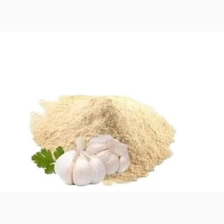 Garlic Extract Powder