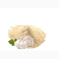 Garlic Extract Powder